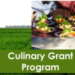 Culinary Grant Program in Texas: TFWA Grant Application