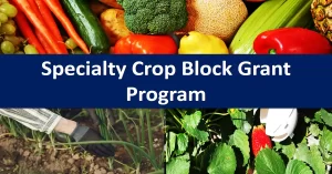 specialty crop block grant program,