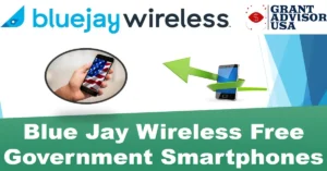 blue jay wireless,