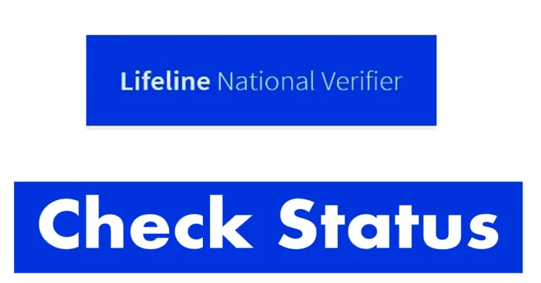 lifeline national verifier check status,