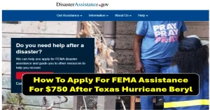 fema assistance